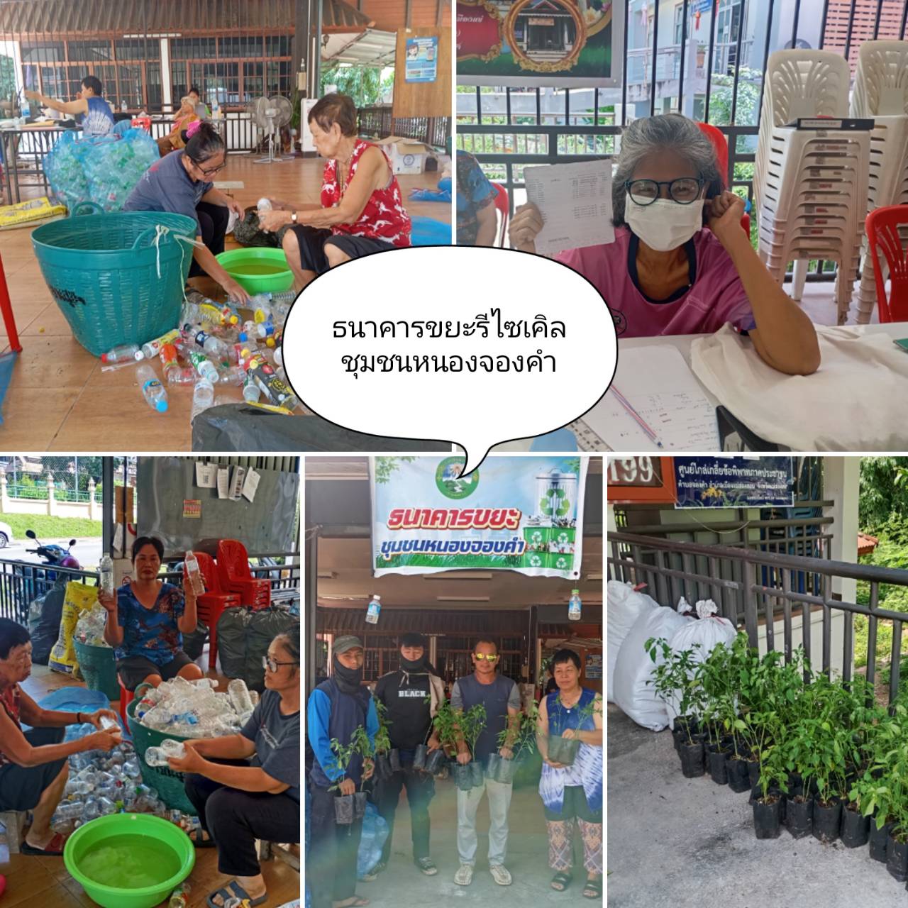 ธนาคารขยะรีไซเคิลชุมชนหนองจองคำ: รักษ์โลกง่ายๆ แค่เอาขยะมาแลกต้นไม้!